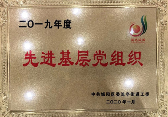 2019年度先进基层党组织
