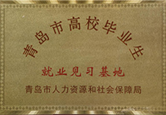 青岛市高校毕业生就业见习基地