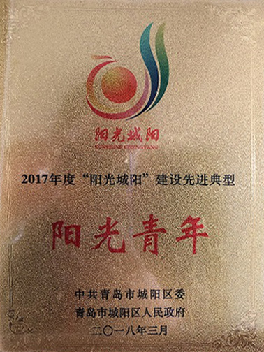 2017城阳阳光青年