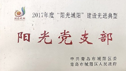 阳光党支部