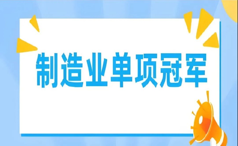 工业和信息化部办公厅关于开展2024年制造业单项冠军企业遴选认定和复核评价工作的通知