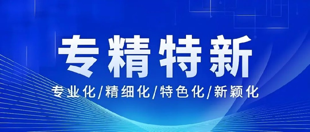 解读 2025 年国家专精特新企业认定新评价指标，探寻企业发展新路径