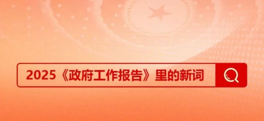 新词解码！政府工作报告里首次出现