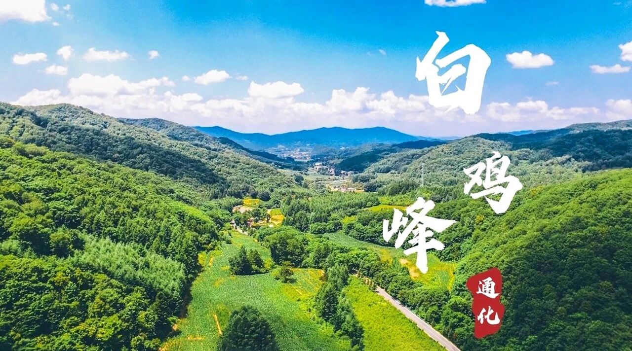参药宝地 繁荣东昌 | 吉林通化东昌区招商引资推介