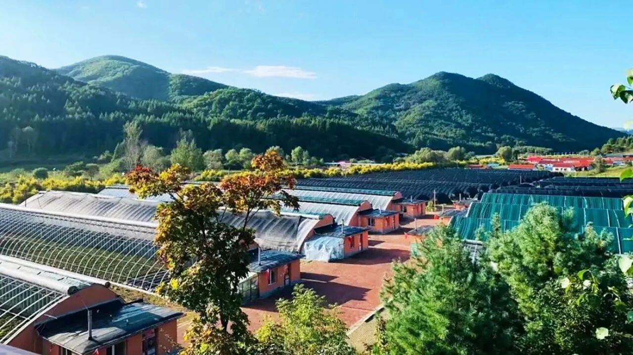 参药宝地 繁荣东昌 | 吉林通化东昌区招商引资推介