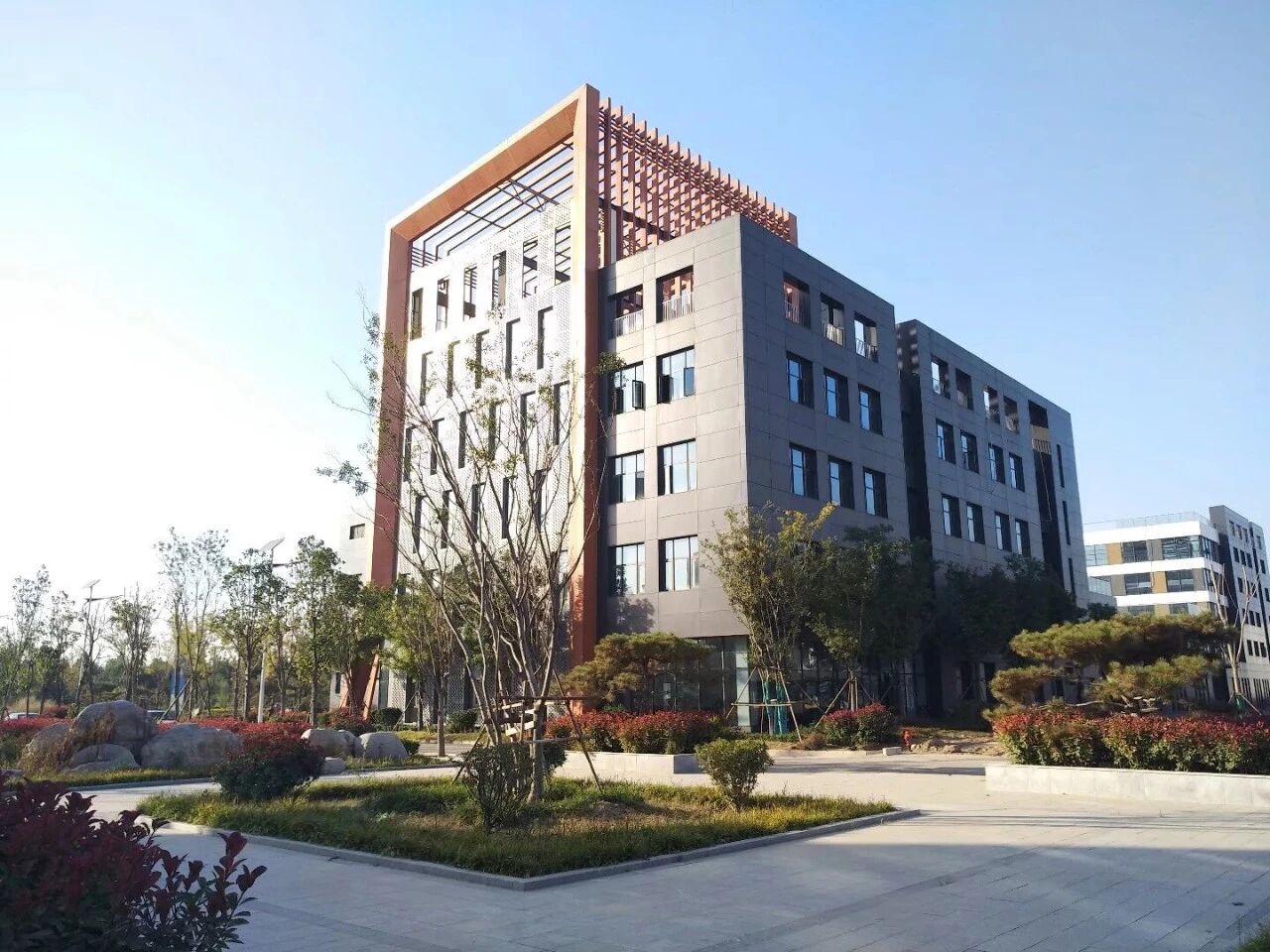 1767147332640772.jpg 2512035.jpg