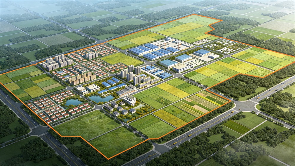 “项目为王” | 县域经济高质量发展的核心引擎