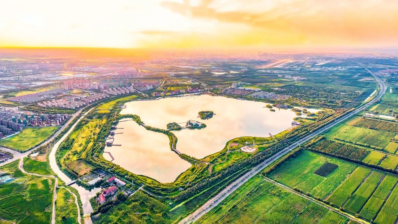 2609035.jpg